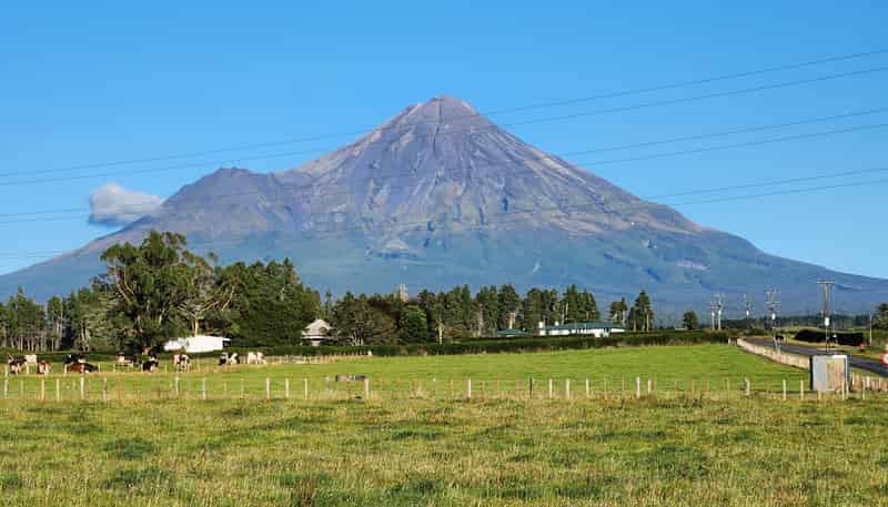 283 & 285 Pembroke Road, Stratford
