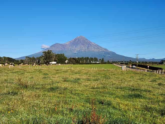 283 & 285 Pembroke Road, Stratford