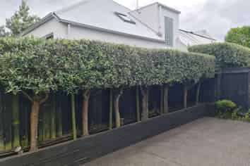 79c Bishop Street, Saint Albans