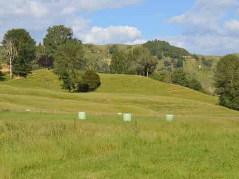 370 State Highway 3, Te Mapara