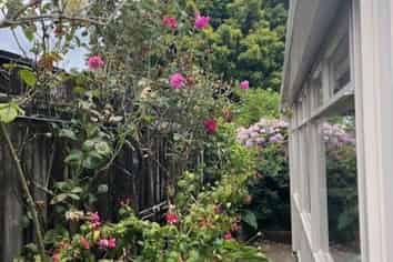 Waikato - Address withheld