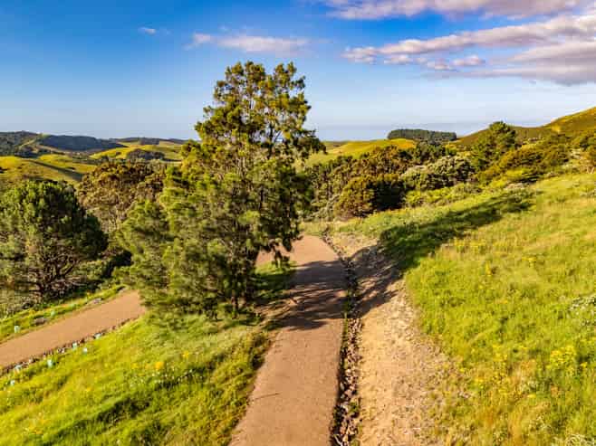 79-85 Awaawaroa Road, Waiheke Island