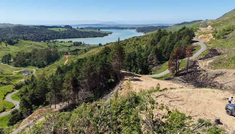 Lot 3 Brown Road, Kawhia