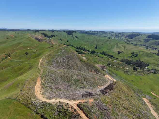 Lot 4 Brown Road, Kawhia