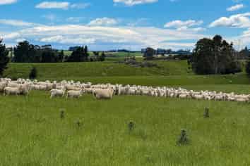 144 Block Road, Pukeawa