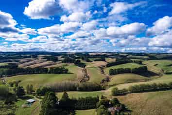144 Block Road, Pukeawa