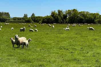 573 Otama Flat Road, Otama