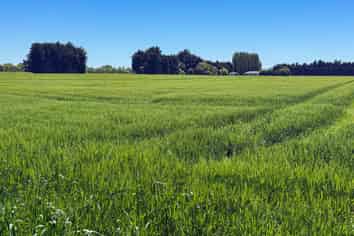 573 Otama Flat Road, Otama