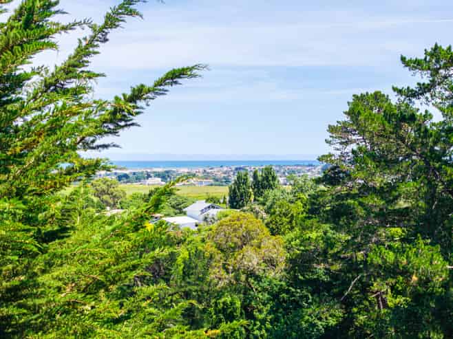 26 Plunket Street, Durie Hill