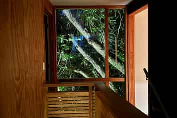 Wellington - Address withheld