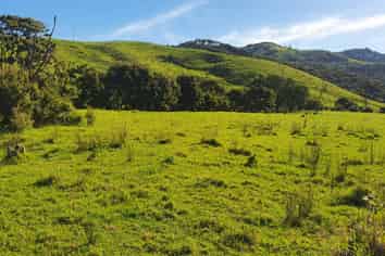 593 Port Charles Road, Port Charles