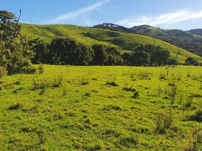 593 Port Charles Road, Port Charles