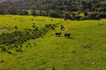 593 Port Charles Road, Port Charles