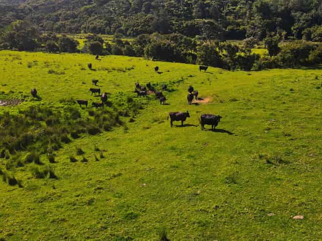 593 Port Charles Road, Port Charles