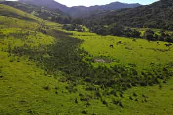 593 Port Charles Road, Port Charles