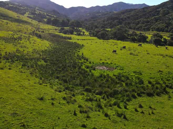 593 Port Charles Road, Port Charles