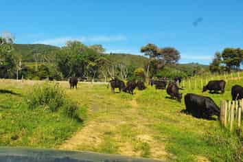 593 Port Charles Road, Port Charles