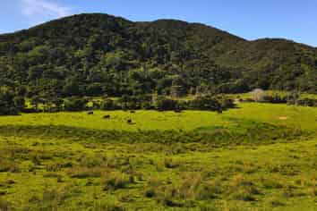 593 Port Charles Road, Port Charles