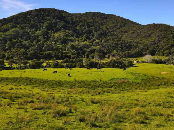 593 Port Charles Road, Port Charles