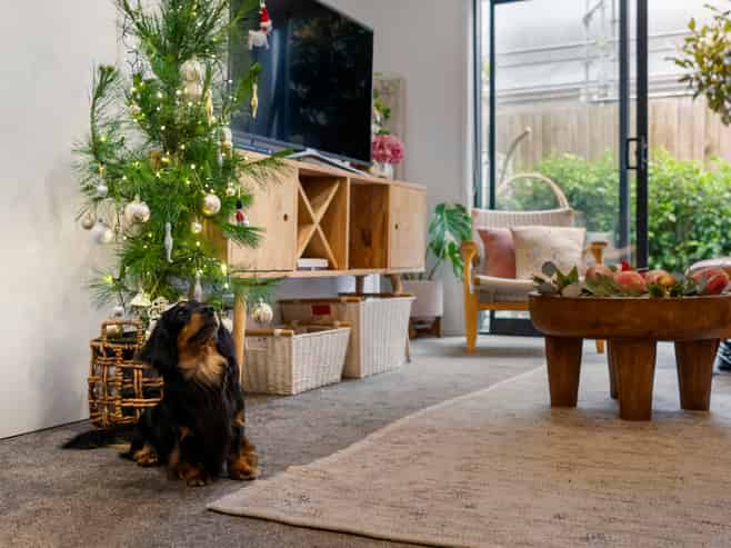 10/10 Yeovil Road, Te Atatu Peninsula