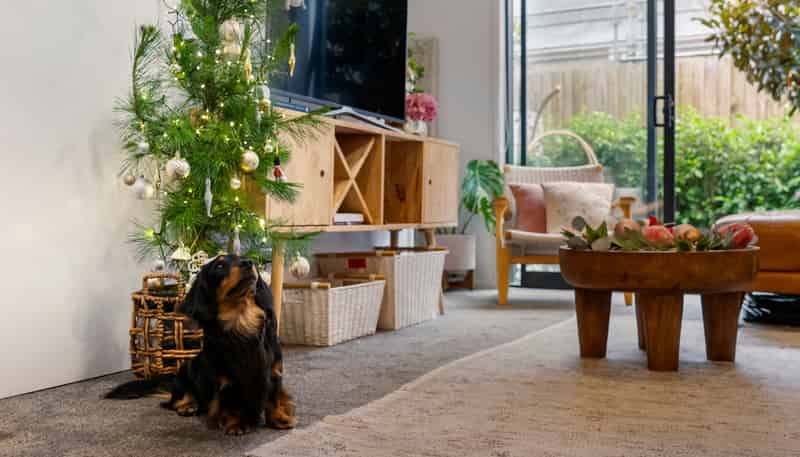 10/10 Yeovil Road, Te Atatu Peninsula