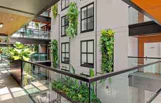 204/4 Bute Road, Browns Bay