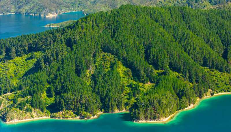  Snake Point, Bay Of Many Coves