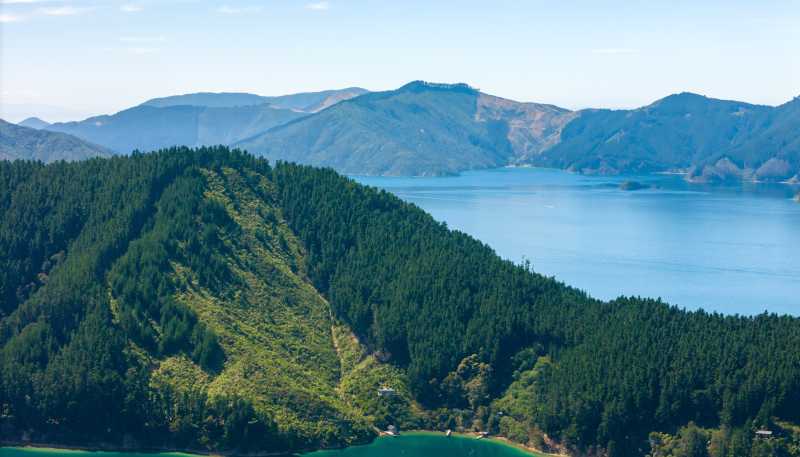  Snake Point, Bay Of Many Coves