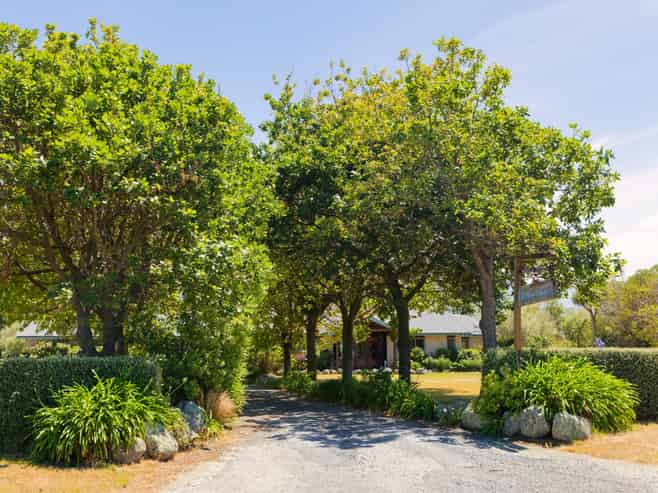 31 Hapuku Road, Kaikoura