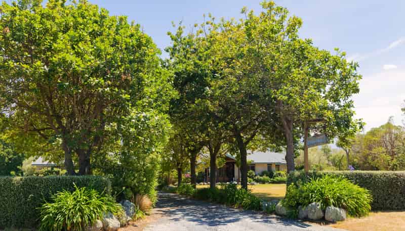 31 Hapuku Road, Kaikoura