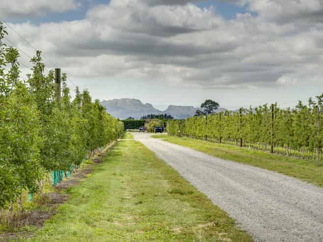 116 and 11 Stock Road, Bridge Pa