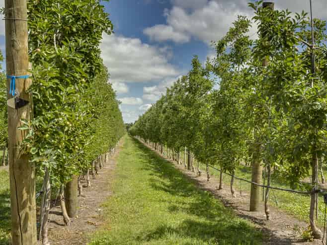 116 and 11 Stock Road, Bridge Pa