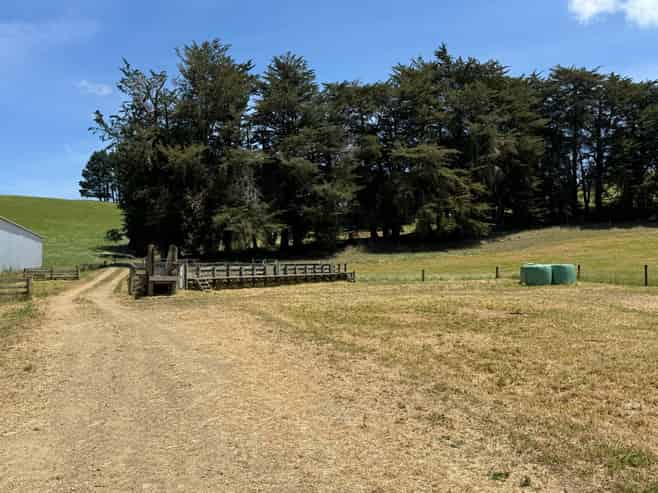 83 Norsewood Ormondville Road, Norsewood