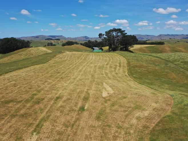 83 Norsewood Ormondville Road, Norsewood