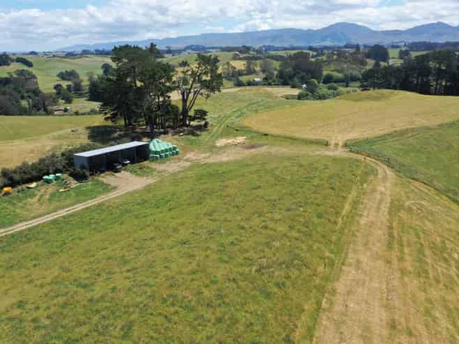 83 Norsewood Ormondville Road, Norsewood