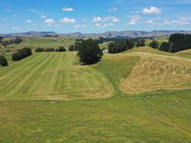 83 Norsewood Ormondville Road, Norsewood