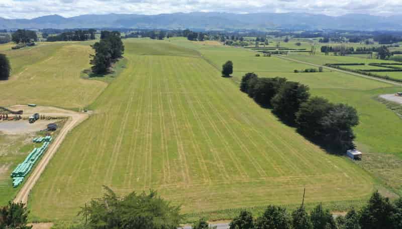 83 Norsewood Ormondville Road, Norsewood