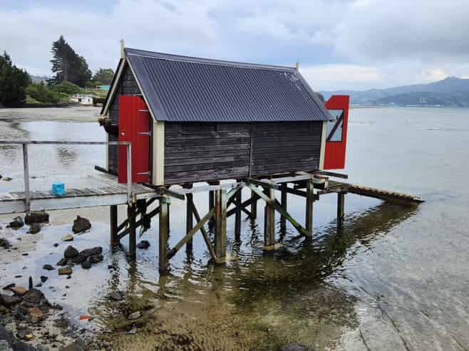 2006.003 Boat Shed - Harington Point Road, Otakou