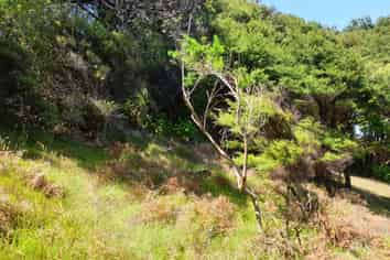 38a Blackwell Drive, Great Barrier Island (Aotea Island)