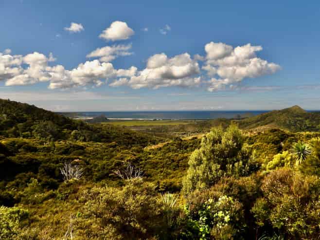 62 Kaitoke Lane, Great Barrier Island
