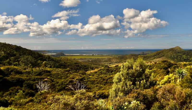 62 Kaitoke Lane, Great Barrier Island