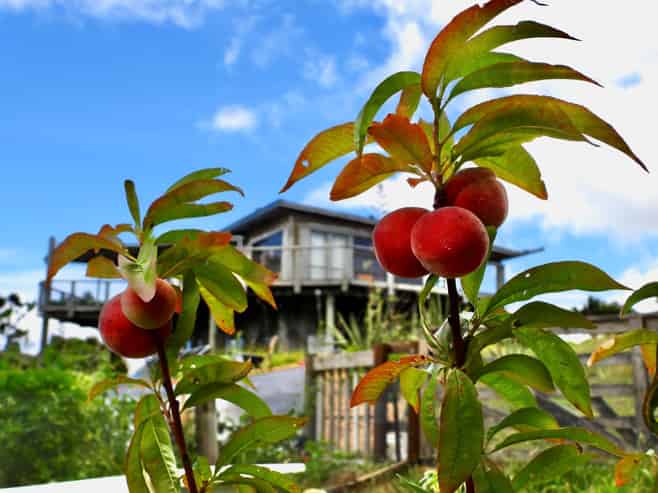 62 Kaitoke Lane, Great Barrier Island