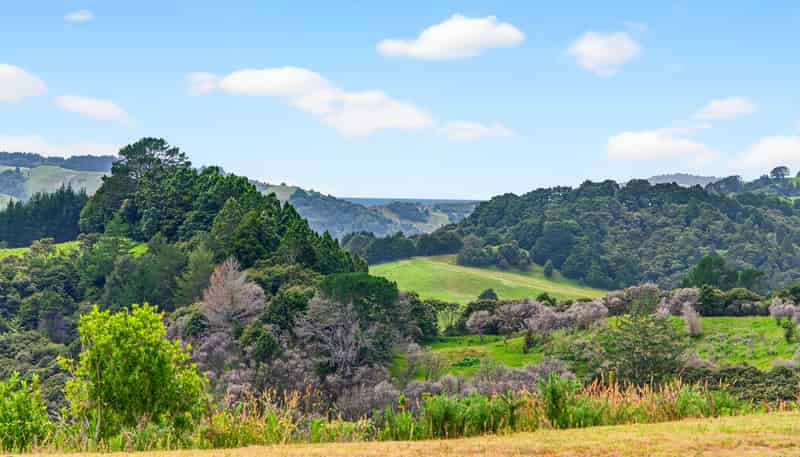 163 Ahuroa Road, Puhoi