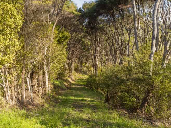 70E Centennial Drive, Whitianga