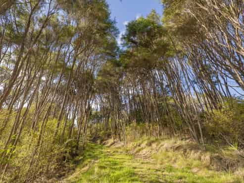 70E Centennial Drive, Whitianga