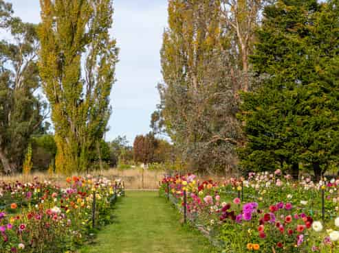 58 Moroa Road, Tauherenikau