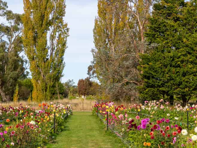 58 Moroa Road, Tauherenikau