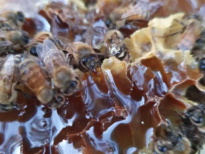 58 Moroa Road, Tauherenikau