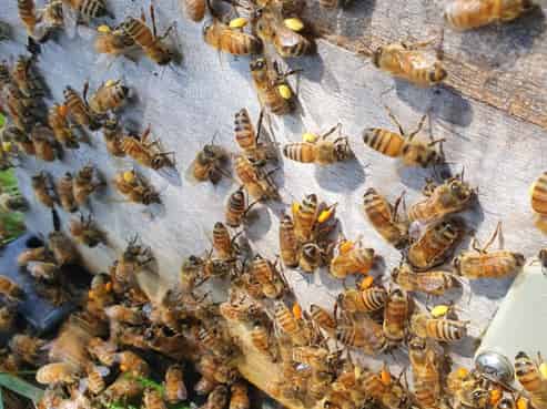 58 Moroa Road, Tauherenikau