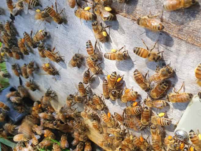 58 Moroa Road, Tauherenikau